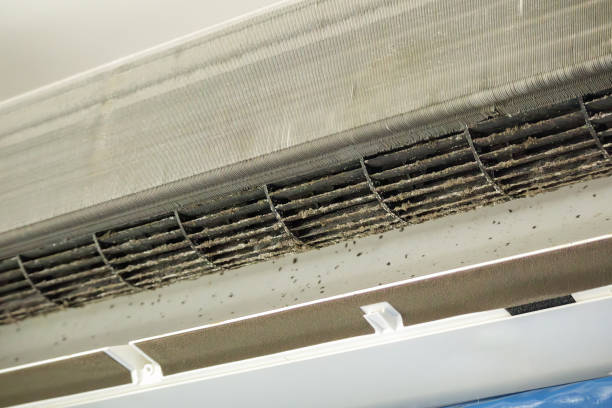 Affordable HVAC Duct Cleaning in Catalina Foothills, AZ